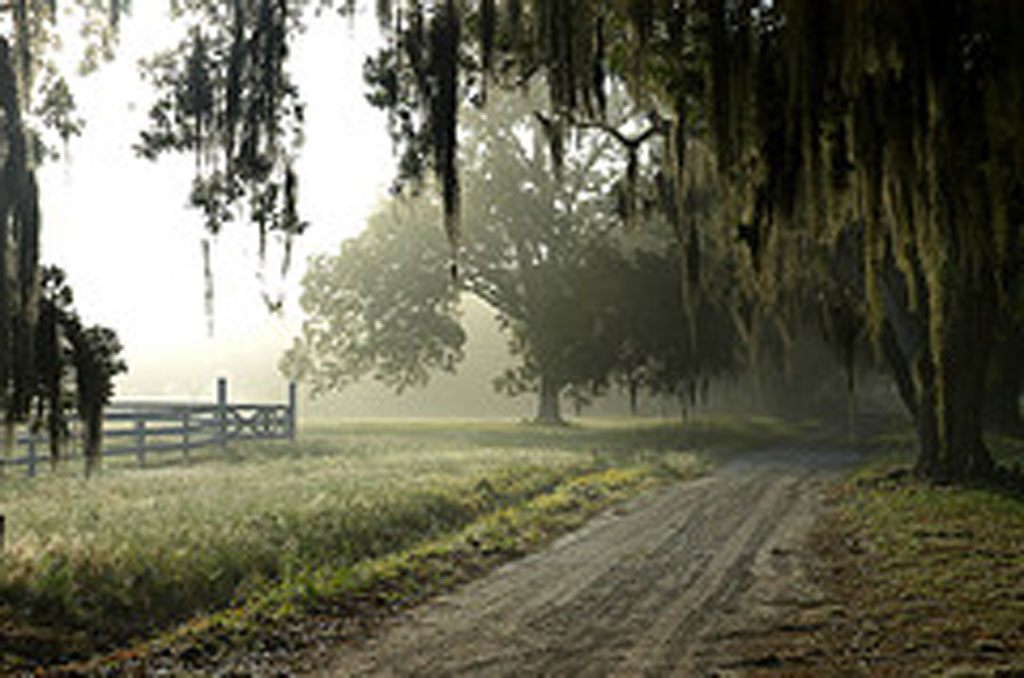 coosaw-plantation-chisolm-beaufort-county-south-carolina-sc