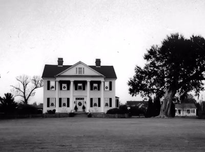 Gippy Plantation - Berkeley County, South Carolina, 2010