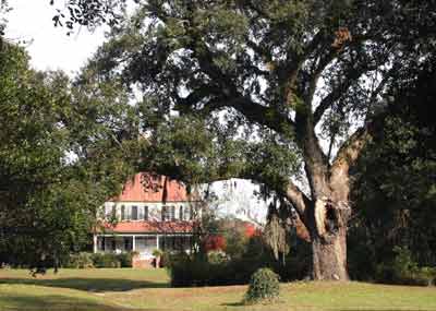 Loch Dhu Plantation 2009 - McCormick County, South Carolina