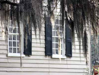 Loch Dhu Plantation Moss Flanded Window 2009 - Berkeley County, South Carolina