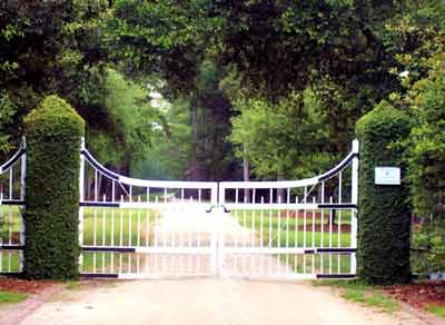 Gate at Mulberry Plantation - Berkeley County, South Carolina