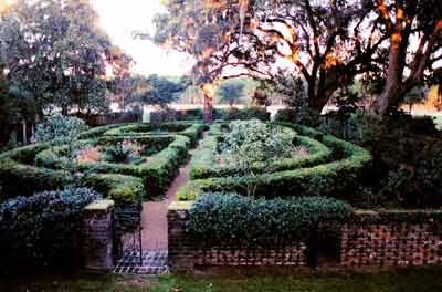 South Mulberry Plantation Garden - Berkeley County, South Carolina