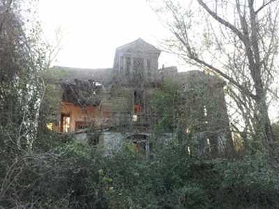 Zante Plantation 2013 - Calhoun County, South Carolina