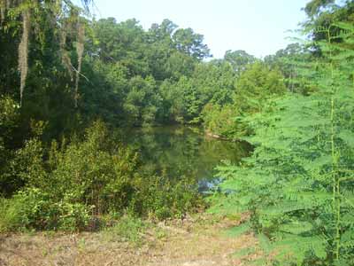 Dixie Plantation View of Water 2011 - Charleston County, South Carolina
