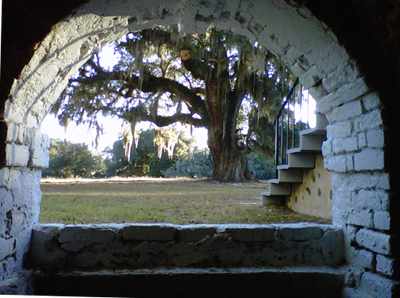 View from Foundation Hampton Plantation 2012 - Charleston County, South Carolina