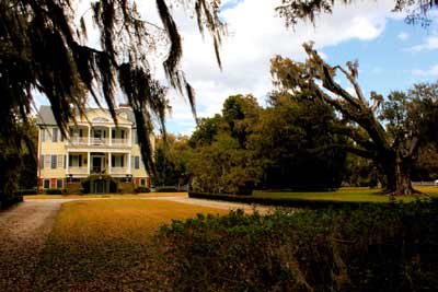 Seabrook Plantation Moss 2008 - Charleston County, South Carolina