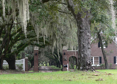 Airy Hall Plantation 2012 - Colleton County, South Carolina