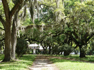 Airy Hall Plantation House 2014 - Colleton County, South Carolina