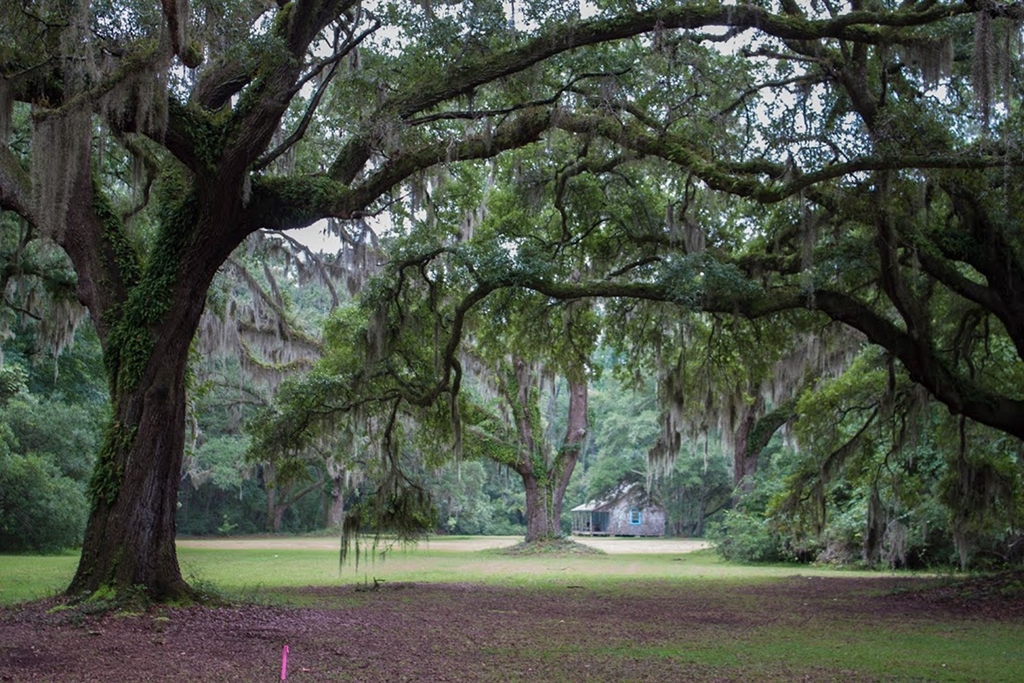 Ravenel Plantation Minim Island, County, South Carolina SC