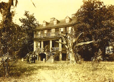 Wedge Plantation 1915-1923 - Georgetown County, South Carolina