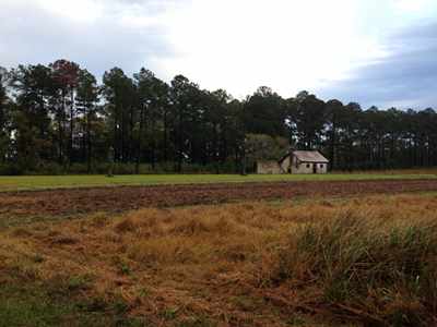 Hobonny Plantation Slave Cabin and Rice Field - Beaufort County, South Carolina