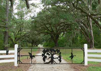 Newport Plantation Oak Avenue - Beaufort County, South Carolina