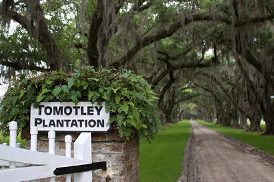 Tomotley Plantation Entrance 2013 - Beaufort County, South Carolina