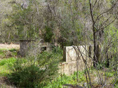 Bossis Plantation Ruins 2014 - Berkeley County, South Carolina
