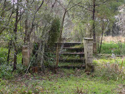 Bossis Plantation Ruins in Huger 2014 - Berkeley County, South Carolina