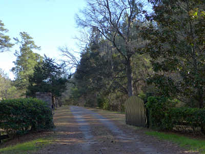 Kensington Plantation 2013 - Berkeley County, South Carolina