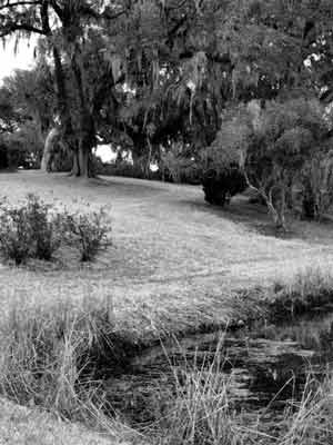 Mepkin Plantation Pond - Berkeley County, South Carolina