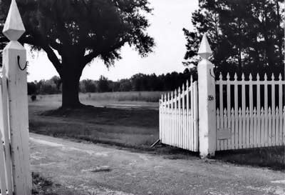 Gate of Middleburg Plantation - Berkeley County, South Carolina