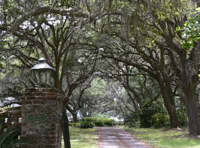 Rice Hope Plantation - Berkeley County, South Carolina