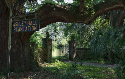 Ashley Hall Plantation 2016 - Charleston County, South Carolina