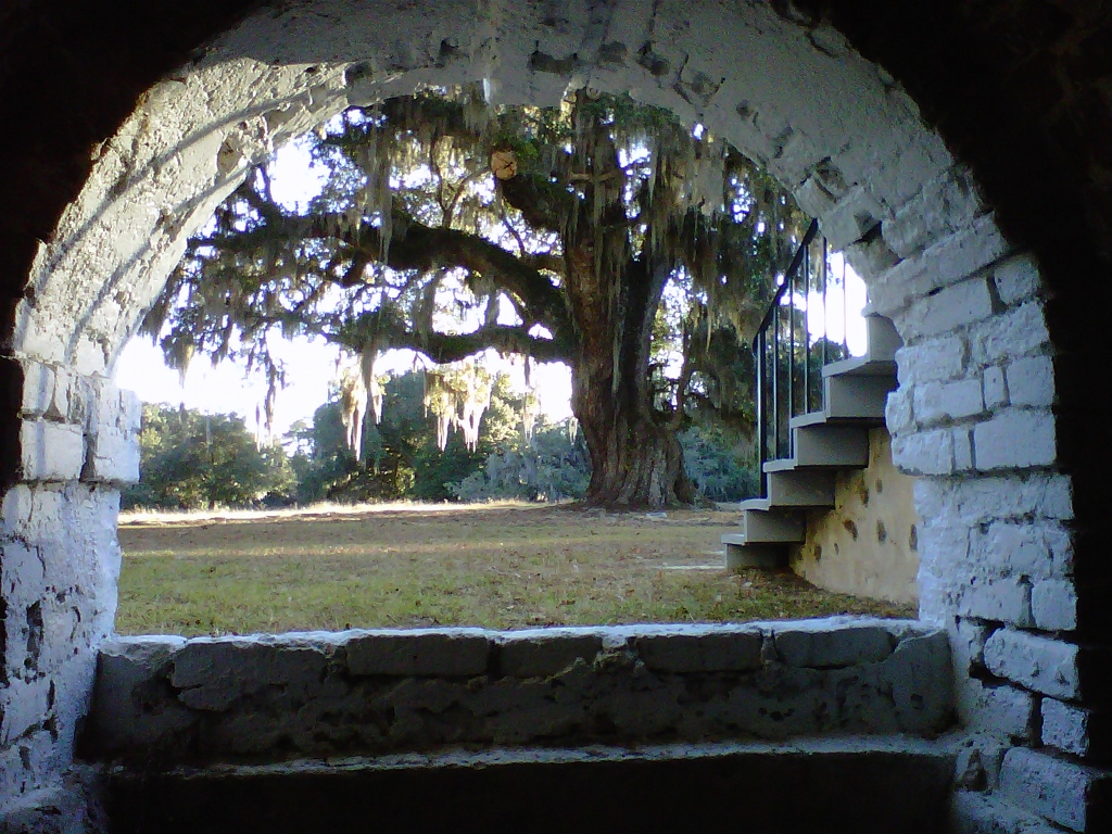 View from Foundation Hampton Plantation 2012 - Charleston County, South Carolina