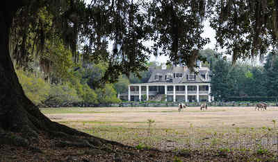 Magnolia Plantation House - Charleston County, South Carolina