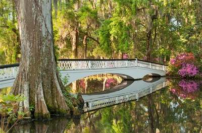 Magnolia Plantation's Long Bridge - 2014 Charleston County, South Carolina