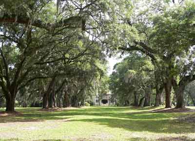 Oak Lawn Plantation - Parkers Ferry, Charleston County, South Carolina SC
