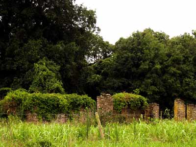 Sea Cloud Plantation 2008 - Charleston County, South Carolina