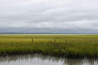 Seabrook Plantation Marsh 2012 - Charleston County, South Carolina