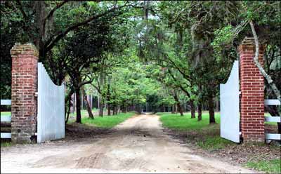 Long Brow Plantation Entrance - Berkeley County, South Carolina