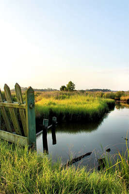 Mary's Island Plantation; Rice Trunk 2014 - Colleton County, South Carolina