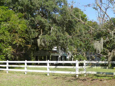 Myrtle Grove Plantation 2013 - Colleton County, South Carolina