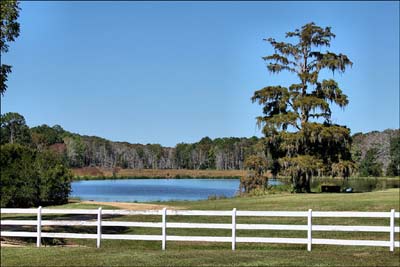 Pond at White Hall Plantation 2011 - Colleton County, South Carolina