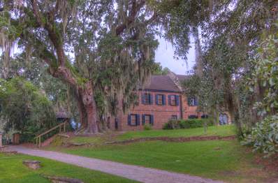 Rear of Middleton Place Plantation - Dorchester County, South Carolina