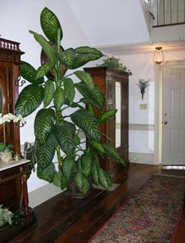 Oaks Plantation - Foyer - Fairfield County, South Carolina SC