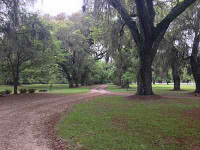 Mansfield Plantation Oak Avenue 2015 - Georgetown County, South Carolina