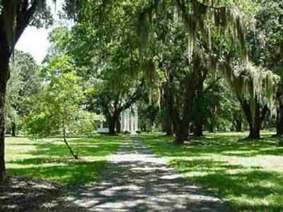 Millbrook Plantation Oaks 2005 - Georgetown County, South Carolina