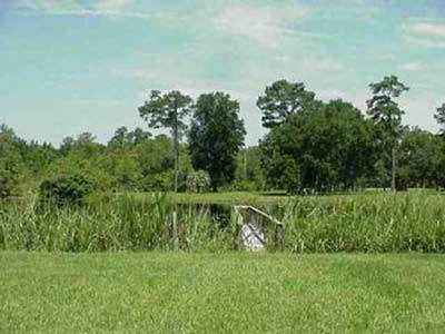 Millbrook Plantation on the Santee River 2005 - Georgetown County, South Carolina
