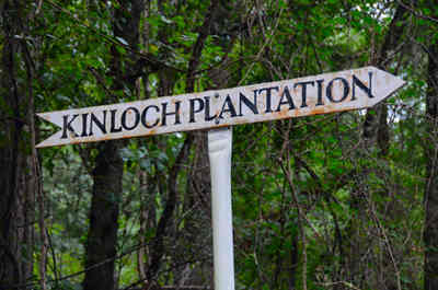 Milldam / Kincloch Plantation Sign 2014 - Georgetown County, South Carolina