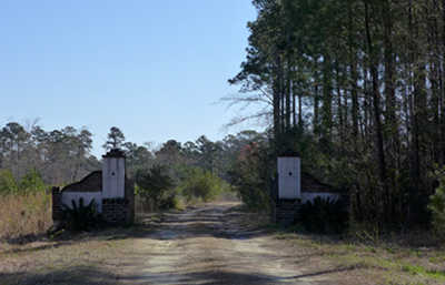 Oakton Plantation 2013 - Georgetown County, South Carolina