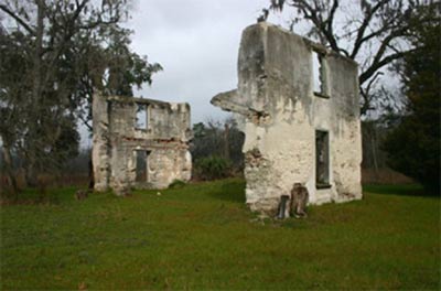 Buckfield Plantation Ruins 2005 - Hampton County, South Carolina