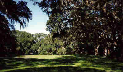 Pleasant Hill Plantation Green 1994 - Hampton County, South Carolina