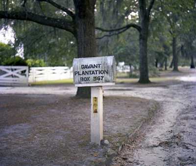 Davant Plantation Mailbox 1975 - Jasper County, South Carolina