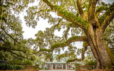 Mackay Point Plantation 2014 - Jasper County, South Carolina