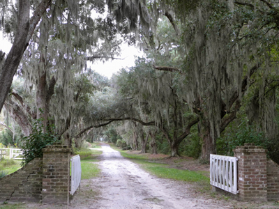 Old House Plantation Gate 2013 - Jasper County, South Carolina