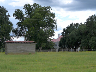 Marston Plantation 2014 - Sumter County, South Carolina