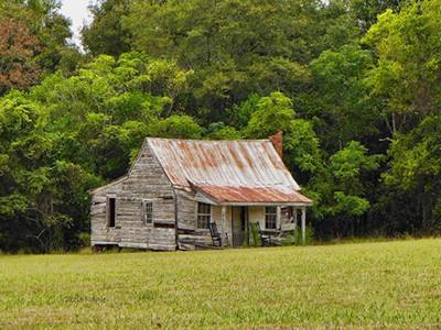 Moorhill Plantation Cabin 2016 - Sumter County, South Carolina