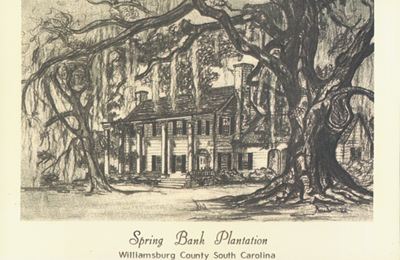 Spring Bank Plantation Sketch 1930s - Williamsburg County, South Carolina